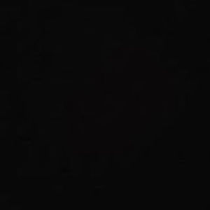 Meet your Posher, Paige